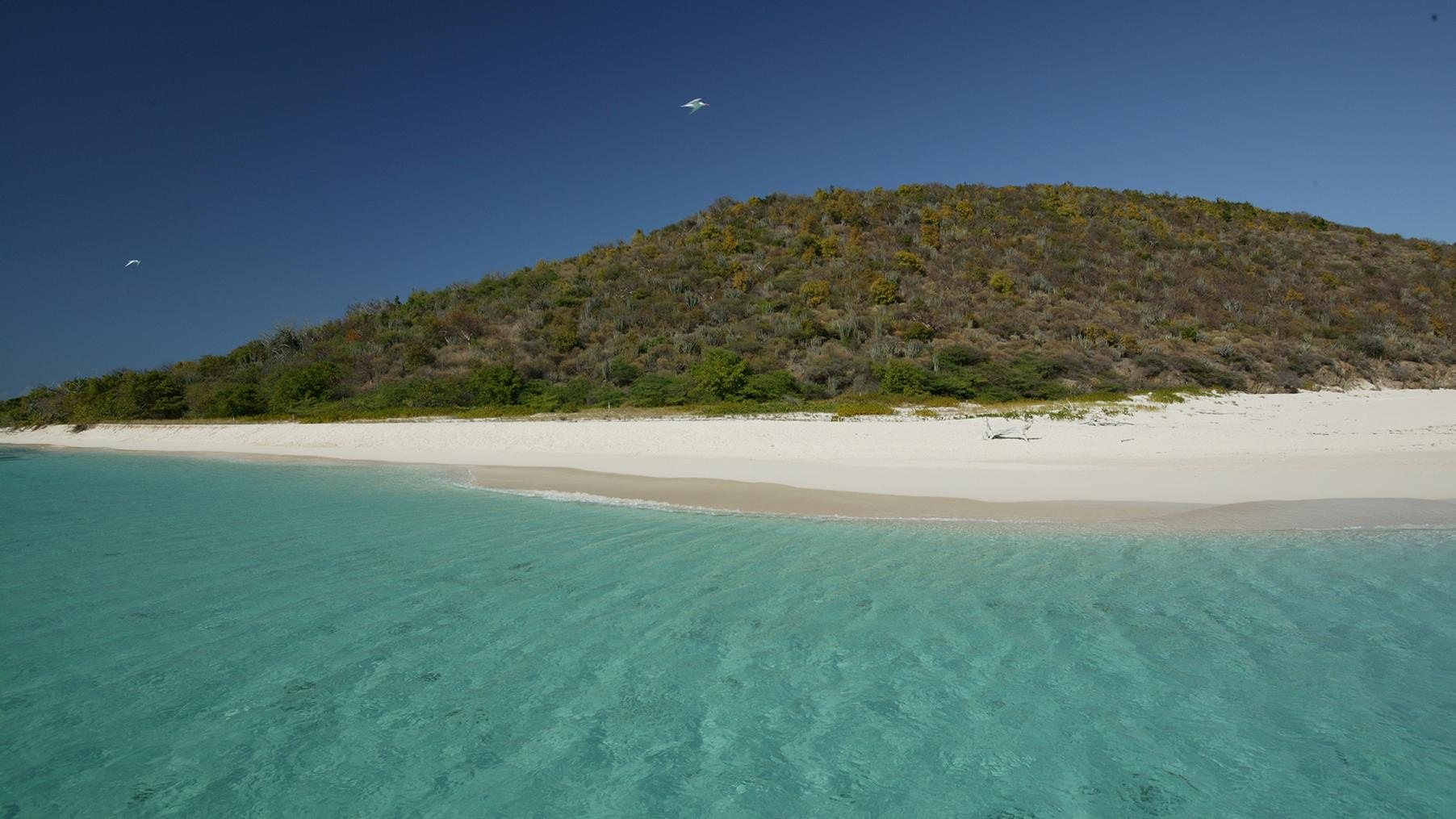 West Beach on Buck Island: white sand, clear shallows and a green hillside