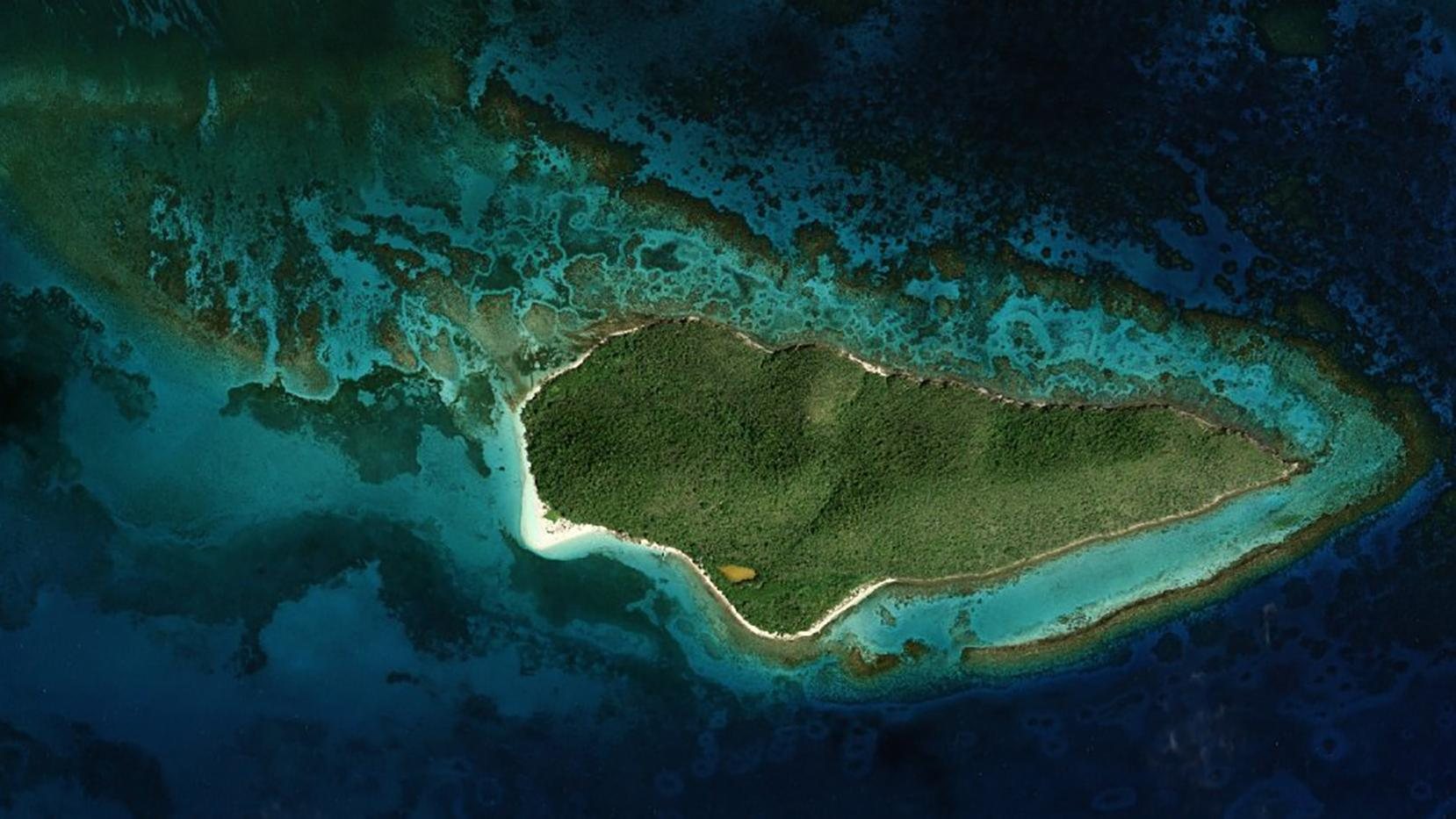 Buck Island from above, ringed by reef and turquoise shallows
