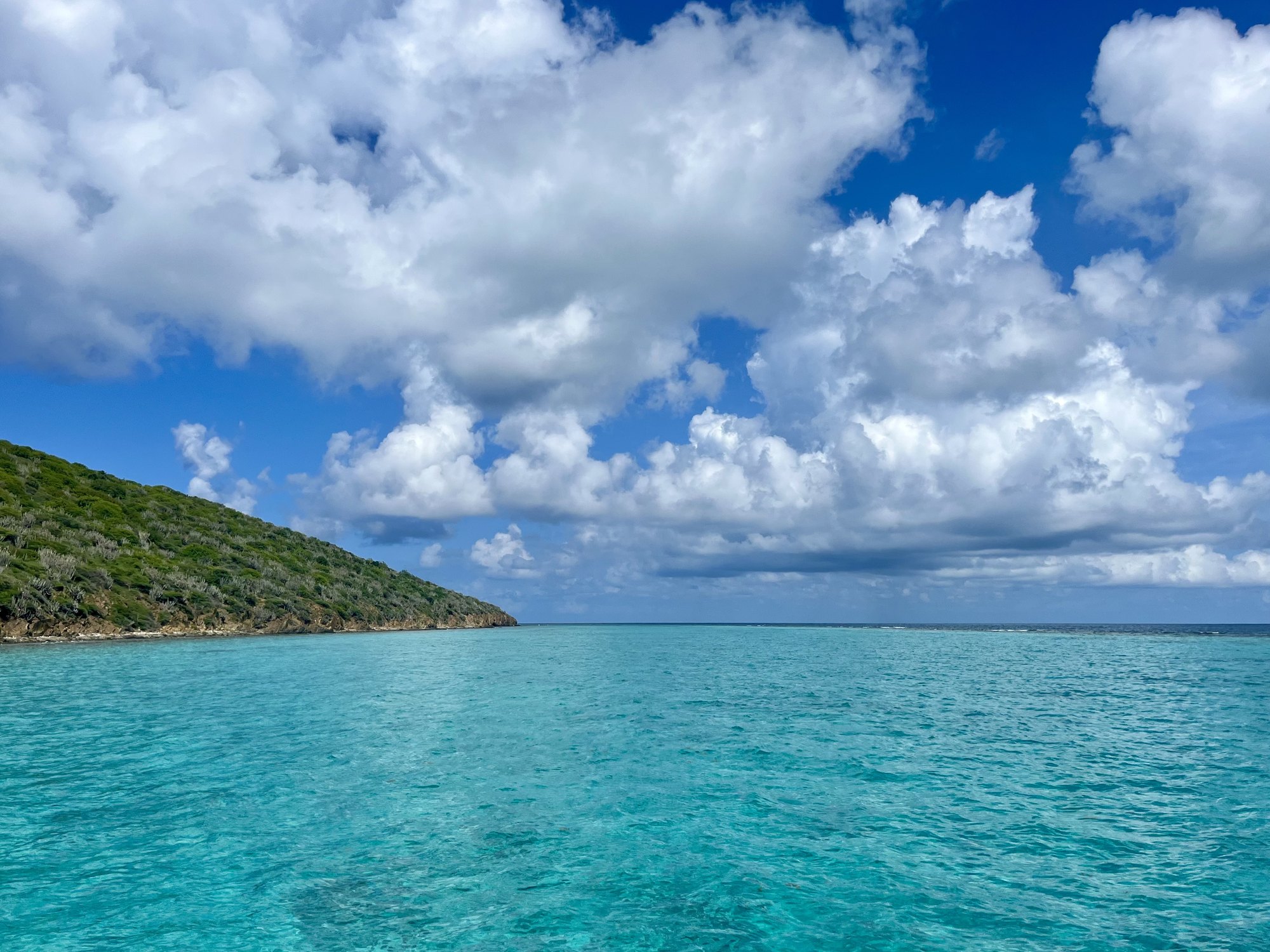 Turquoise lagoon water beside Buck Island's green hillside under a blue sky